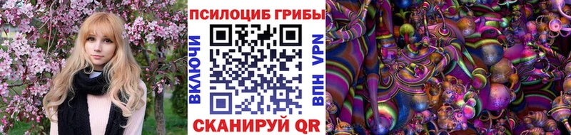 Псилоцибиновые грибы Psilocybe Торопец