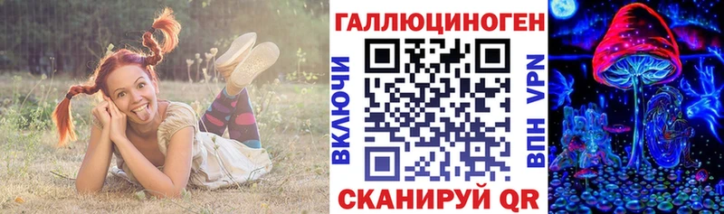 купить закладку  Торопец  гидра ONION  Галлюциногенные грибы Psilocybe 