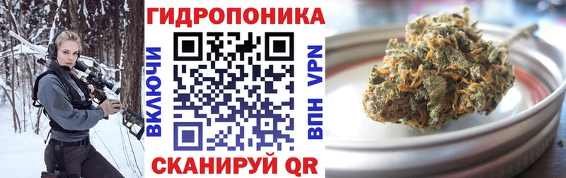 где купить   ссылка на мегу маркетплейс  Канабис марихуана  Торопец 